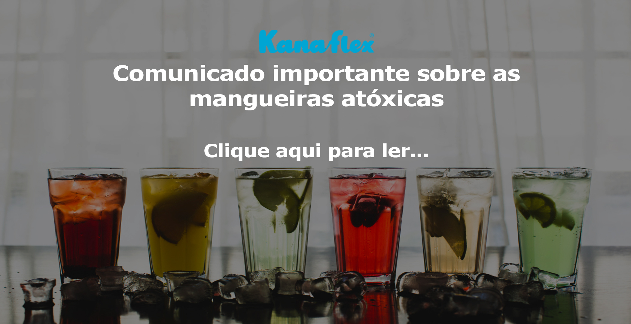 Kanaflex Mangueira Atóxica